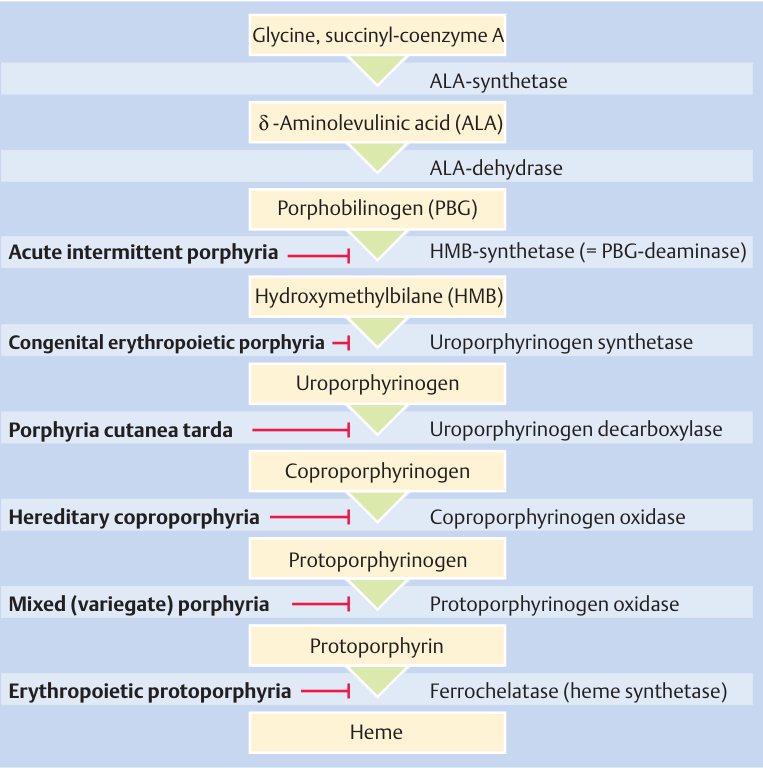 Enzyme defects in porfirias