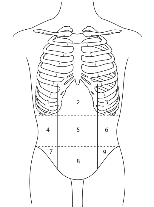 Regional diagnosis of local abdominal swellings