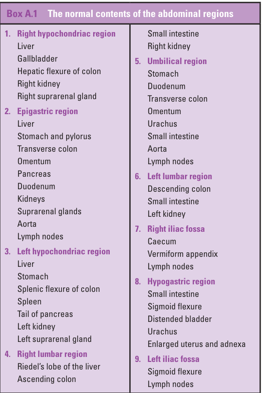 The normal contents of the abdominal regions